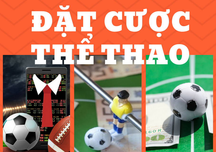 Infographic: Đặt cược thể thao ở Việt Nam quy định trả thưởng như thế nào?